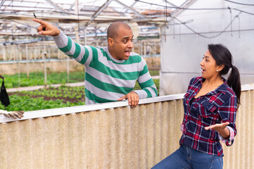 Farm neighbors quarrel over farm backyard