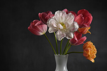 Closeup of beautiful tulips in a white vase, with a black background