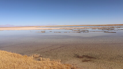 Paisagem do deserto do Atacama, Chile, com dunas de areia e montanhas ao fundo, céu limpo e azul, característico do deserto