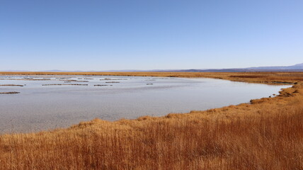 Paisagem do deserto do Atacama, Chile, com dunas de areia e montanhas ao fundo, céu limpo e azul, característico do deserto
