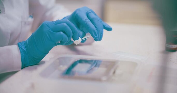 Scientist Working in Medical Laboratory Cancer Research Covic 19 Pandemic