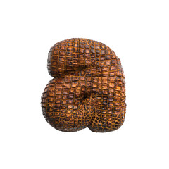 crocodile letter A - Lowercase 3d reptile font - Suitable for wildlife, ecology or conservation related subjects