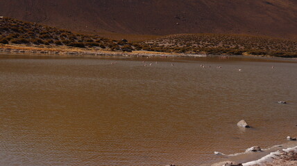 Paisagem desértica do Atacama, no Chile, com dunas, montanhas e céu claro. A vastidão do deserto é destacada pela luz natural e tons de areia e rochas áridas © RNL Fotografia