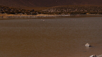 Paisagem no deserto do Atacama no Chile