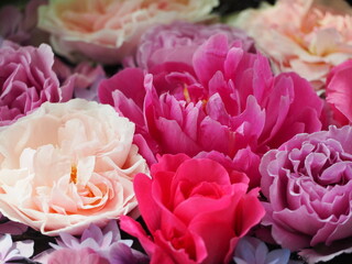 フローティングフラワー　芍薬