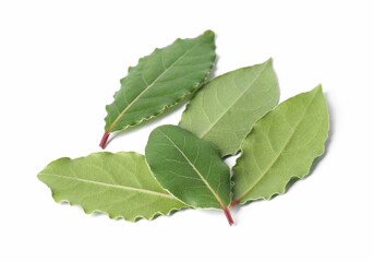 Green fresh bay leaves isolated on white