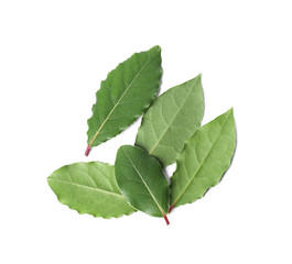 Fresh bay leaves isolated on white, top view
