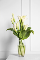 Beautiful calla lily flowers in vase on table