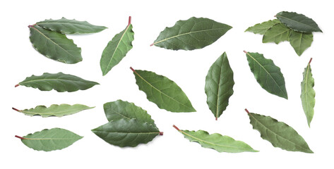 Collage with fresh bay leaves on white background