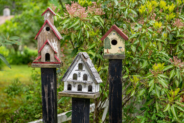 bird house