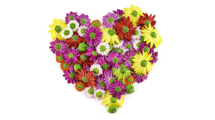 エディブルフラワー　ハート　食用花