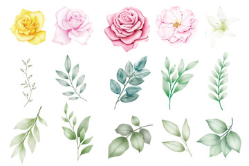 Set of floral watercolor elements