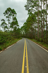 Fototapeta na wymiar estrada no distrito de Lavras Novas, cidade de Ouro Preto, Estado de Minas Gerais, Brasil