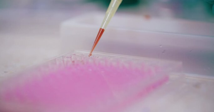 Scientist Working in Medical Laboratory Cancer Research Covic 19 Pandemic