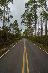 Fototapeta premium estrada no distrito de Lavras Novas, cidade de Ouro Preto, Estado de Minas Gerais, Brasil