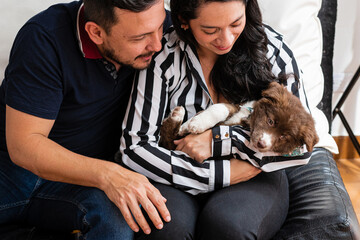 Caring Companions. Embracing the Healing Power of Pets. A moment filled with joy and excitement, where a couple welcomes their adorable puppy into their home. 