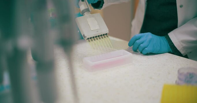 Scientist Working in Medical Laboratory Cancer Research Covic 19 Pandemic