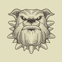 illustration bulldog head on black background