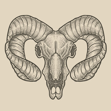 illustration goad skull on black background