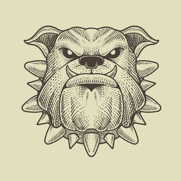 illustration bulldog head on black background