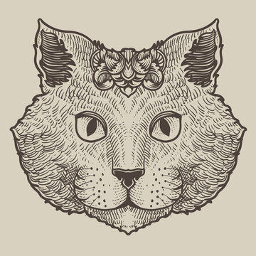 illustration cat head engraving style on black background