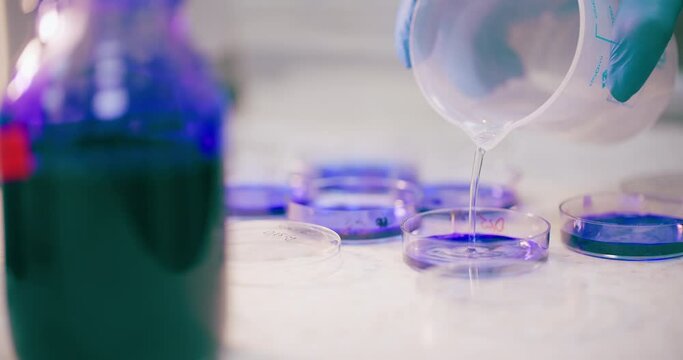 Scientist Working in Medical Laboratory Cancer Research Covic 19 Pandemic