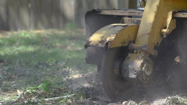 Stump removal rooting machine removing a trump grinding the stump down to the ground on a bright sunny day