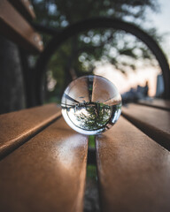 Reflections on the Bench 