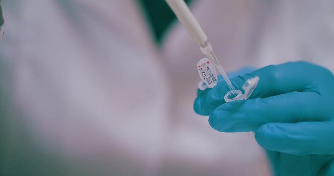 Scientist Working in Medical Laboratory Cancer Research Covic 19 Pandemic