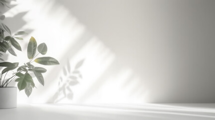 Minimalistic white wall with a plant in a pot, Generative Ai
