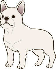 フレンチブルドッグ（ホワイト）