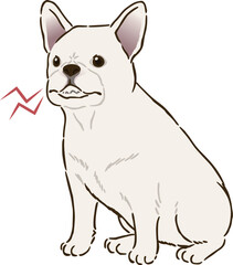 怒るフレンチブルドッグ（ホワイト）