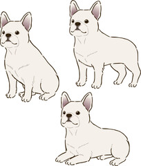 色々な姿勢のフレンチブルドッグ（ホワイト）