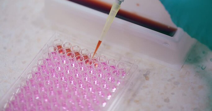 Scientist Working in Medical Laboratory Cancer Research Covic 19 Pandemic