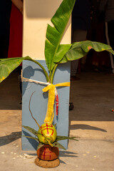 A mangal Ghat with tender coconut and mango leaves and banana tree at the front door used during...