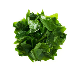 top view alga wakame laminaria kelp seaweed Isolated on white background. fresh alga wakame laminaria kelp seaweed Isolated. top view overhead flat lay alga wakame laminaria kelp seaweed Isolated