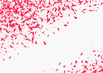 Delicate Petal Vector Transparent Background.