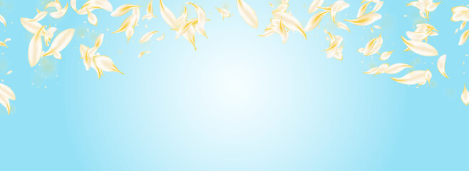Yellow Floral Falling Vector Panoramic Blue