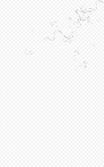 Luxury Star Shiny Vector Transparent Background.