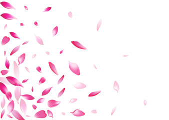 Purple Rose Petal Vector White Background. White