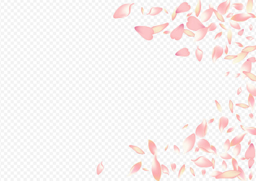 Red Heart Vector Transparent Background. Rose
