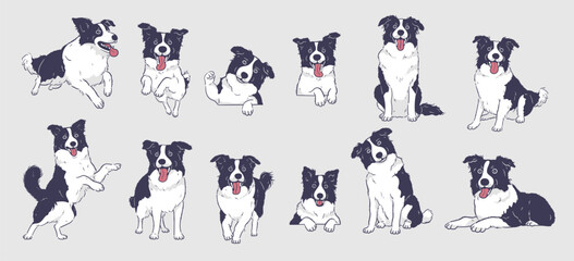 Happy Cartoon border collie dog set - obrazy, fototapety, plakaty