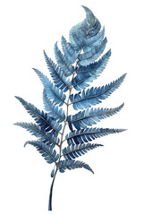 Fern isolated on white background, beautiful abstract painting. Generative art