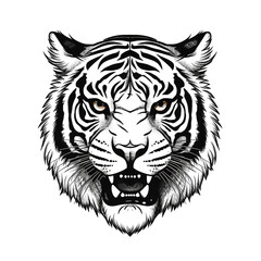 Tiger head, cartoon style, white isolated background PNG