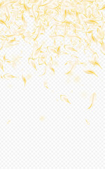 Obraz premium Delicate Floral Japanese Vector Transparent