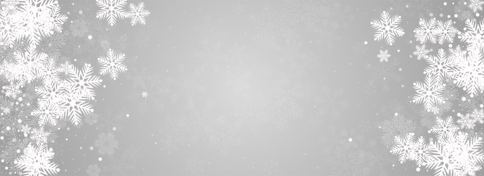 Silver Snowfall Vector Panoramic Grey Background.