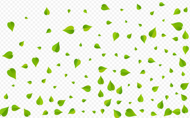 Green Foliage Wind Vector Transparent Background
