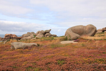 Granite boulder and colorful wildflowers in Brittany, France.