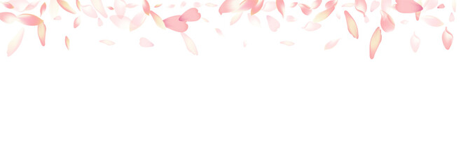 Pastel Sakura Petal Vector Panoramic Background.