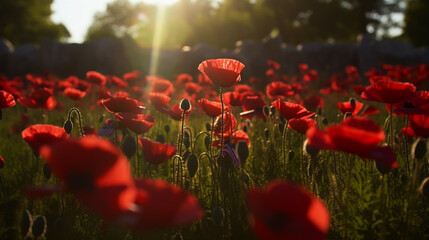 Remembrance day poppy. Red poppies. Generative Ai.